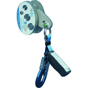 Бегунки ЦАРГЕС 